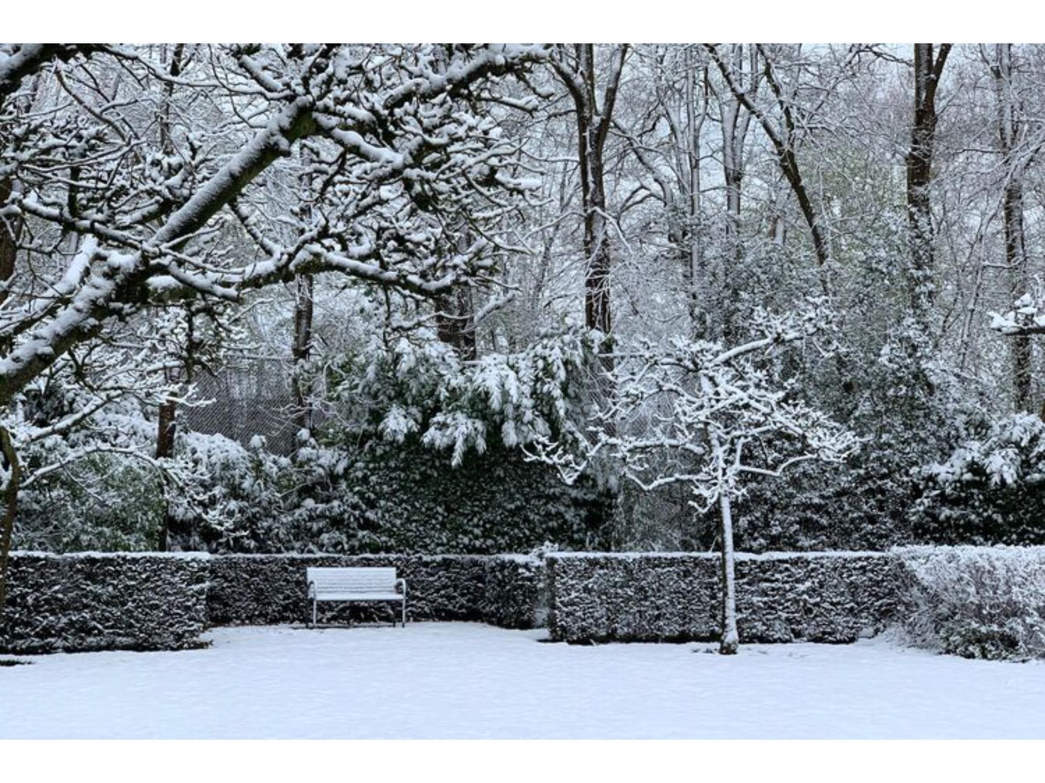 De tuin van Villa Loonse Duinen in Drunen