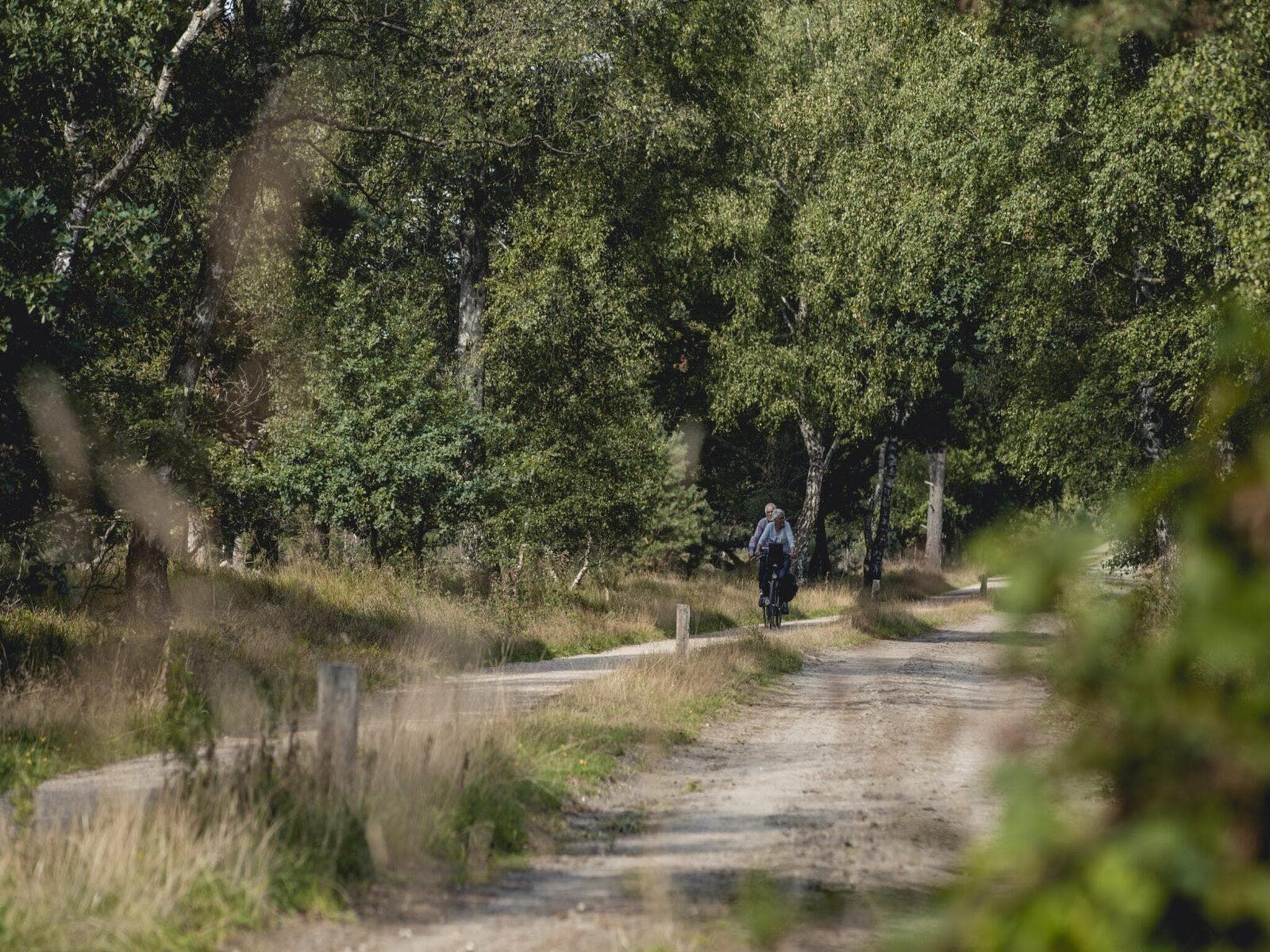 De omgeving van Vakantiepark Mölke 33 in Zuna