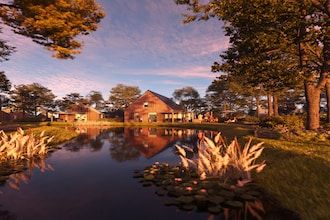 Ruim vakantiehuis met terras in TA Gasselte
