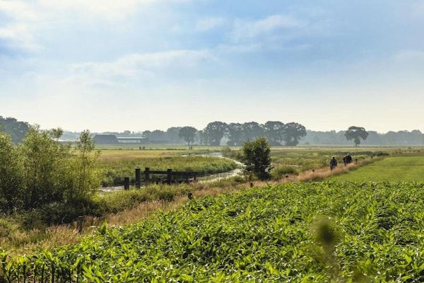 AreaSummer20KM - Glamping Tent in Nederland met Pop-Up Sfeer in Zuna (4)
