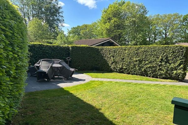 Tuin - Bungalow met omheinde tuin op de Veluwe in Hulshorst (3)