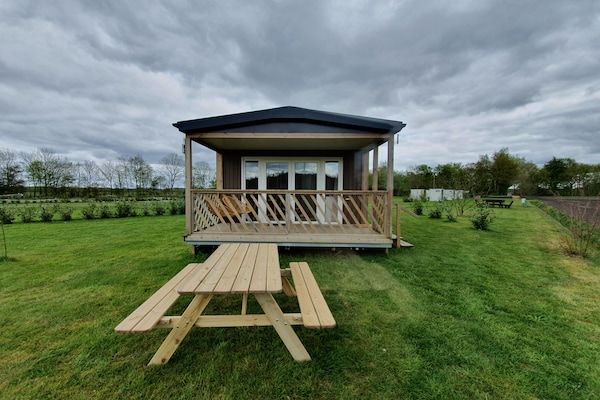 Buitenkant - Rustig chalet in Schoonloo met terras in Schoonloo (1)