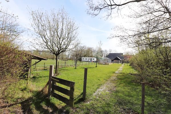 Tuin - Gezellig chalet met uitzicht over de landerijen in Drachten (2)