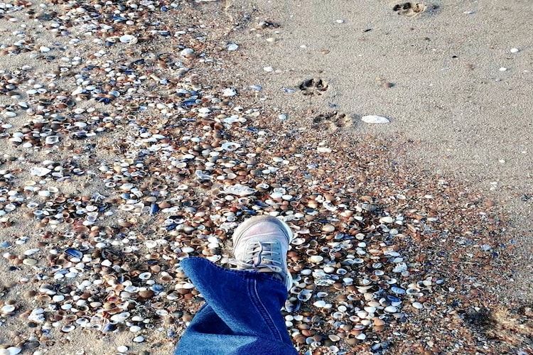 Krokus 10 in Breskens - Foto 38 van 44