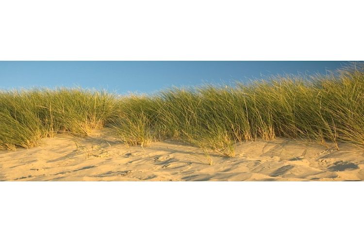 De omgeving van Zeeuwse Parel Appartement 4 pers 1 bdk - 1 in Colijnsplaat