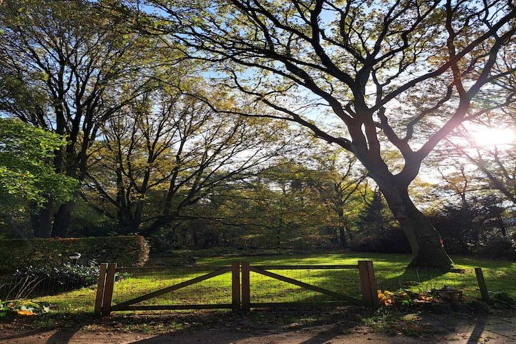 De tuin van Vier Vogelenzang in Vessem