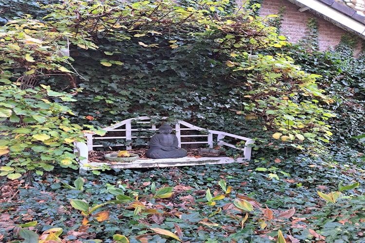 De tuin van Vier Vogelenzang in Vessem